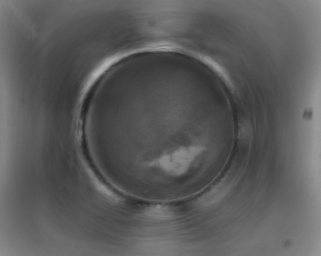 X0000096731414200802051428