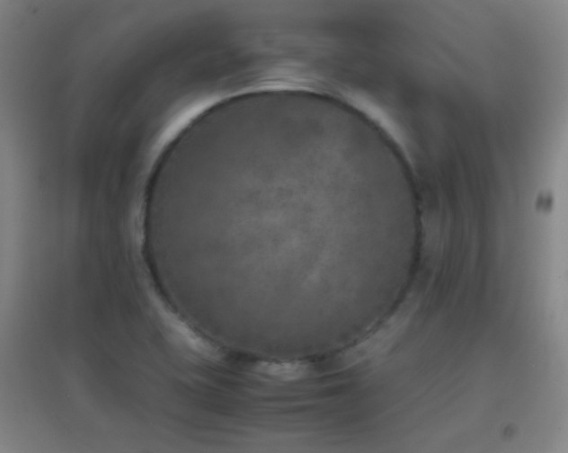 X0000096731415200802051429