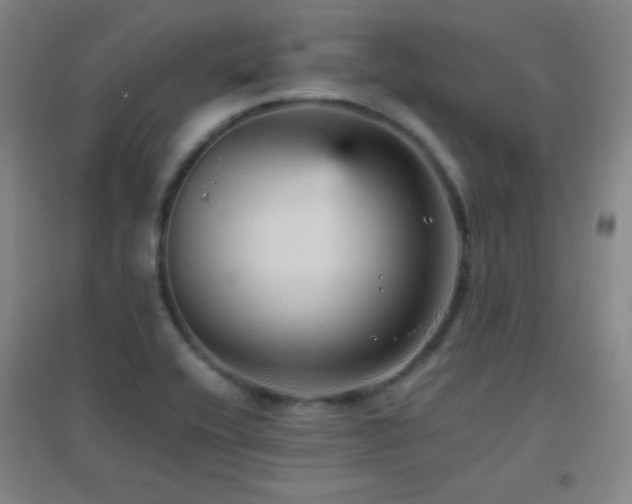 X0000096731416200802051429
