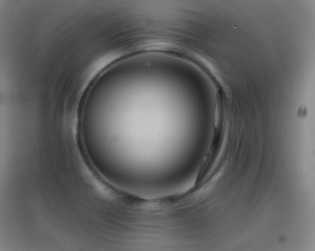 X0000096731418200802051429