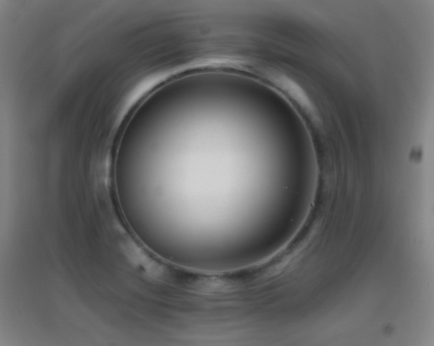 X0000096731420200802051429