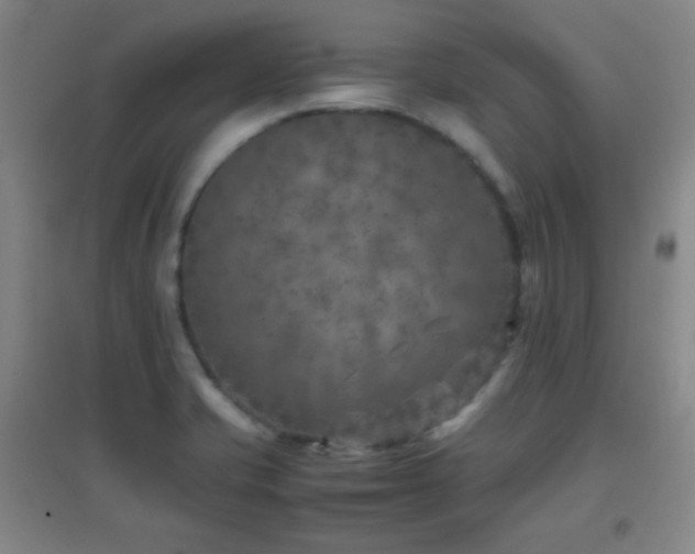 X0000096731421200802051429