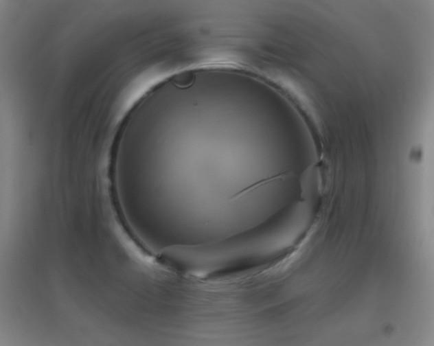 X0000096731422200802051429