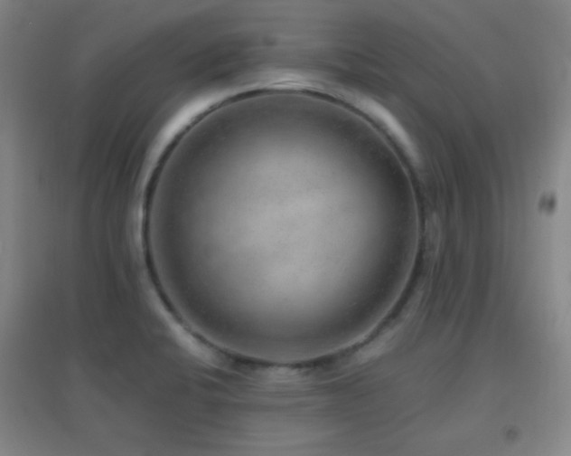 X0000096731424200802051429