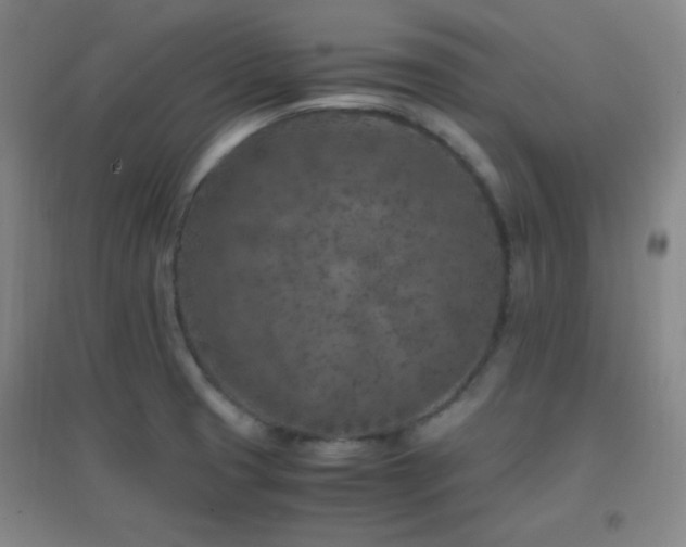 X0000096731425200802051429