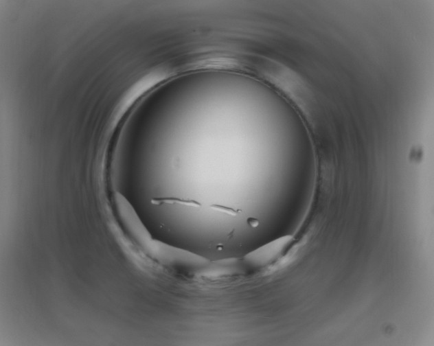 X0000096731426200802051429