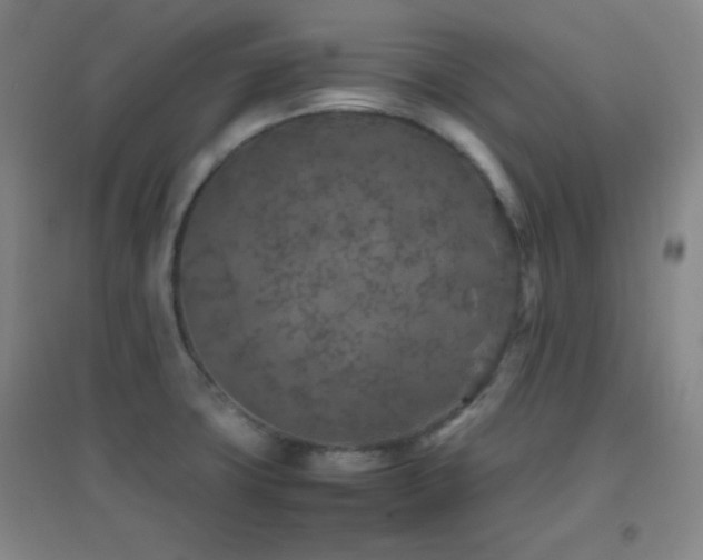 X0000096731427200802051429
