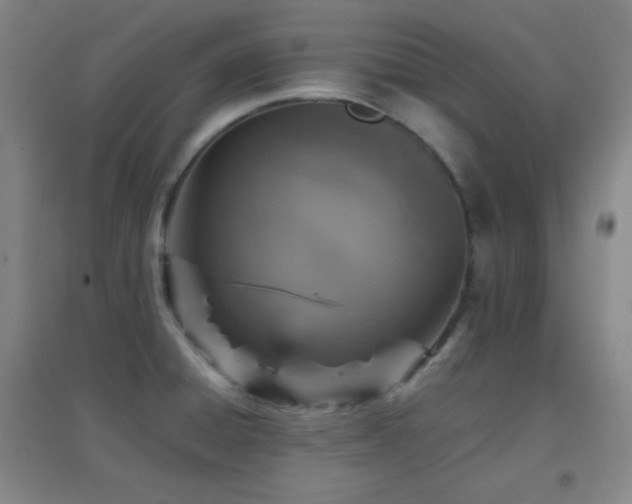 X0000096731428200802051429