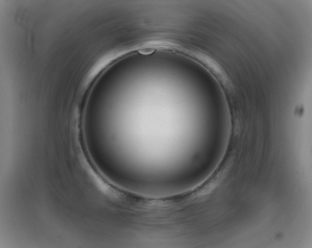 X0000096731430200802051429
