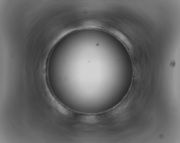 X0000096731431200802051429