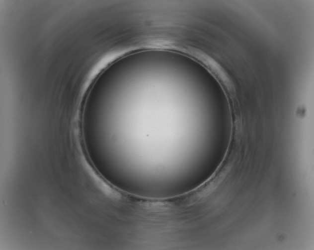 X0000096731432200802051429