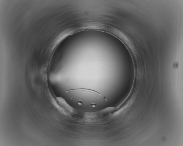 X0000096731433200802051429