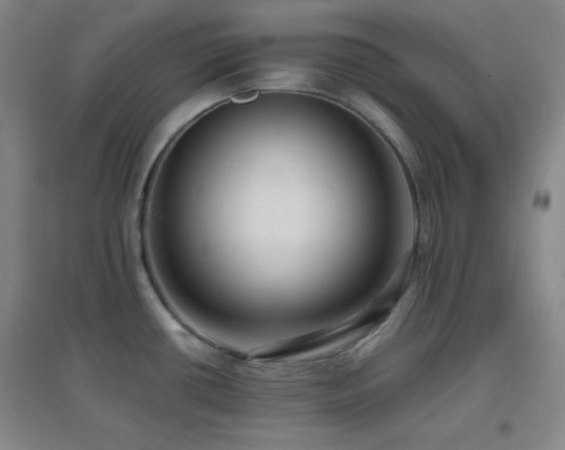 X0000096731434200802051429