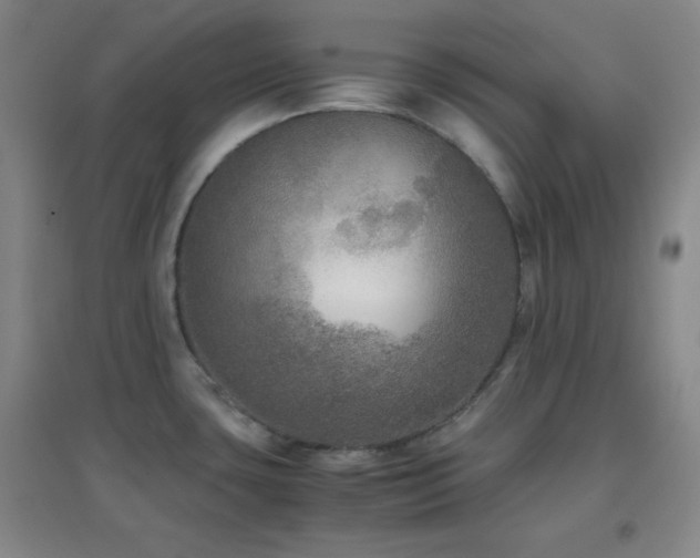 X0000096731435200802051429