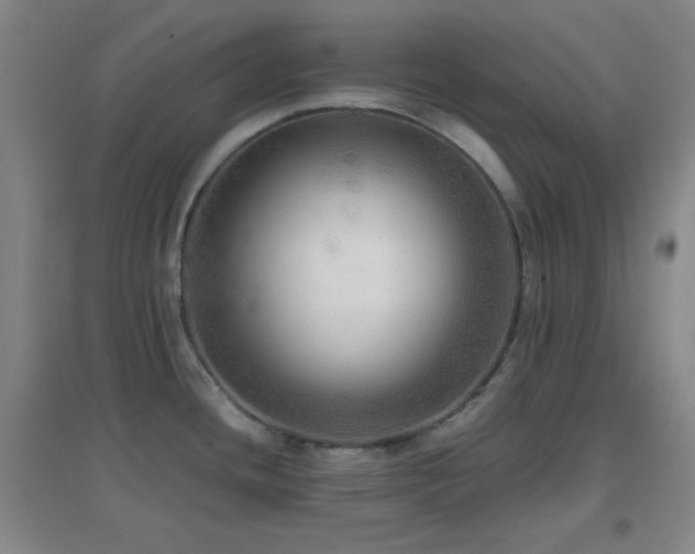 X0000096731436200802051429