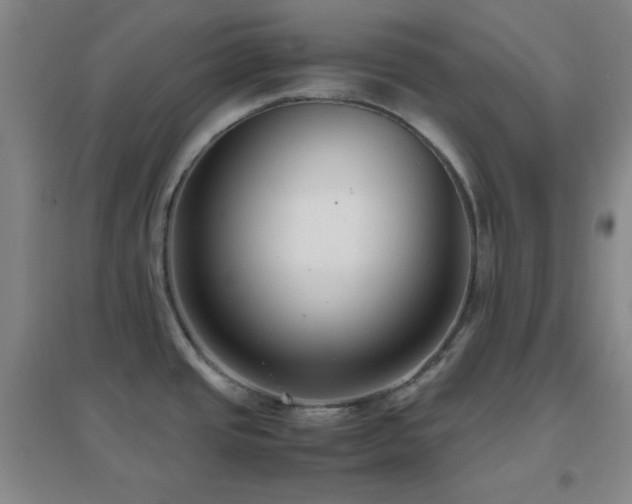 X0000096731437200802051429