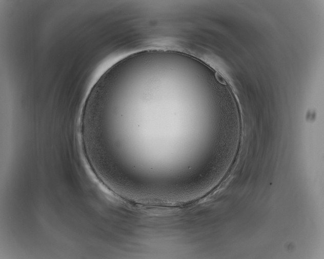 X0000096731440200802051429