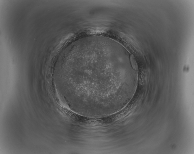 X0000096731441200802051428