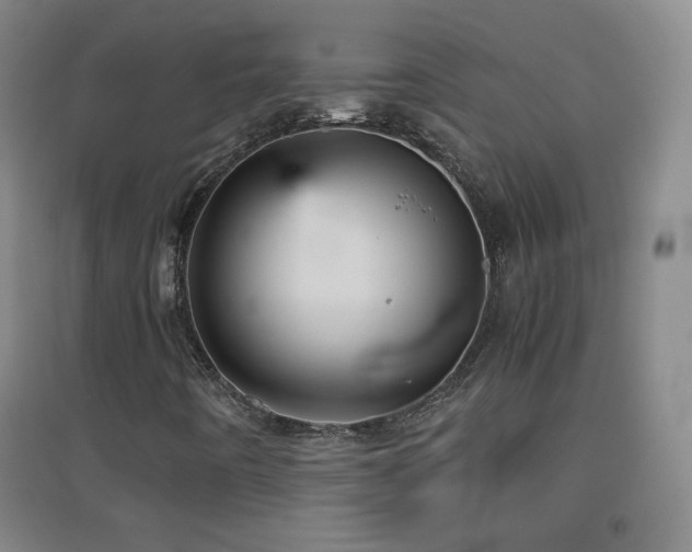 X0000096731442200802051428