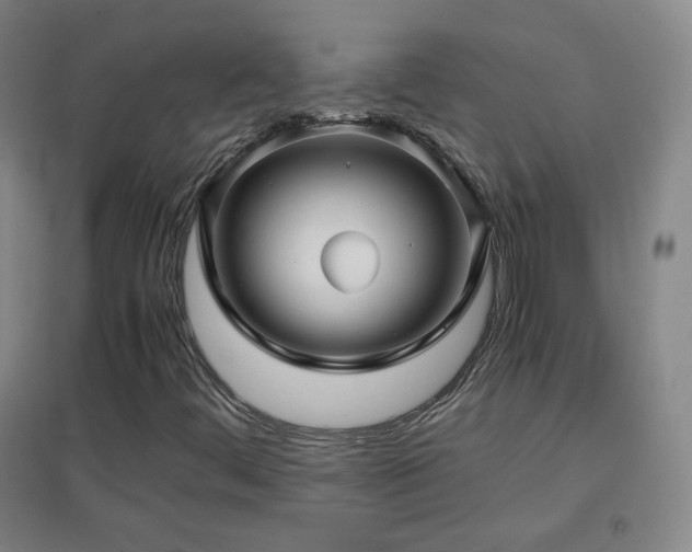 X0000096731444200802051428