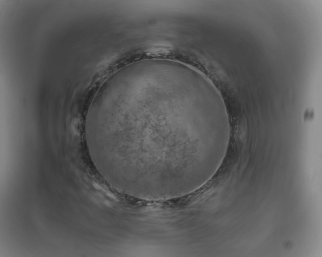 X0000096731445200802051428
