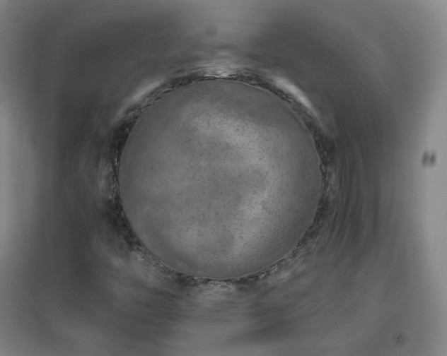 X0000096731446200802051428