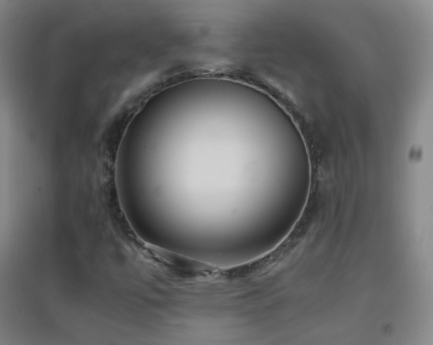 X0000096731447200802051428