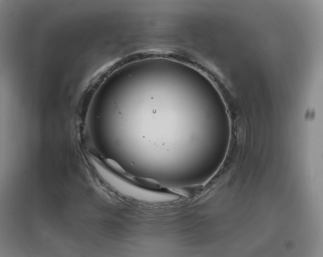 X0000096731448200802051428