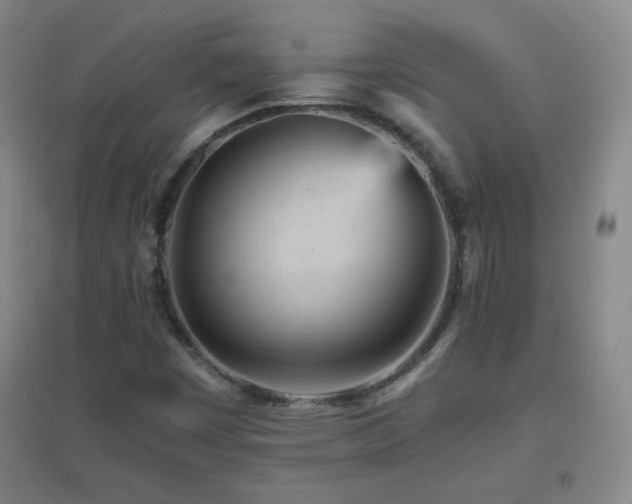 X0000096731449200802051428