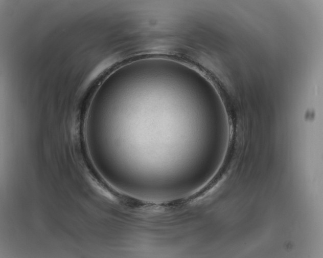 X0000096731450200802051428