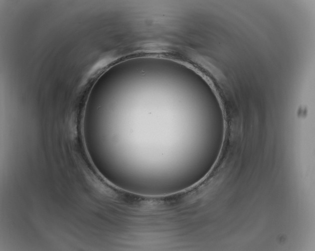 X0000096731451200802051428