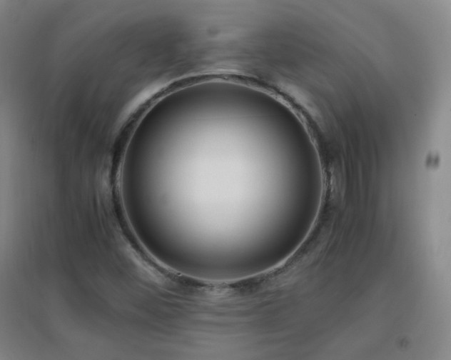 X0000096731452200802051428