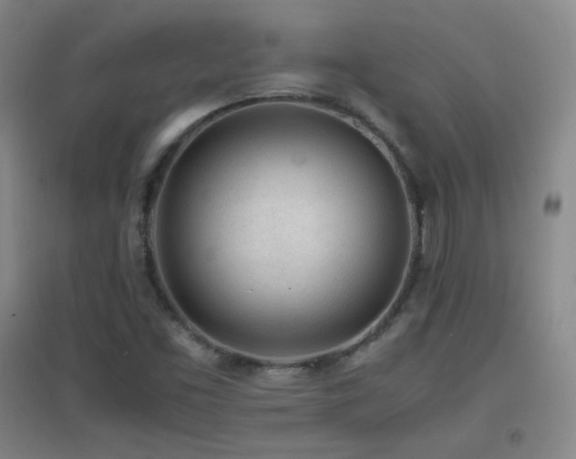 X0000096731453200802051428