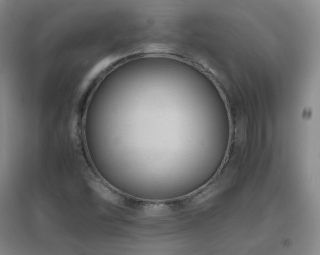 X0000096731454200802051428