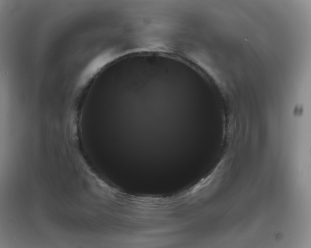 X0000096731455200802051428