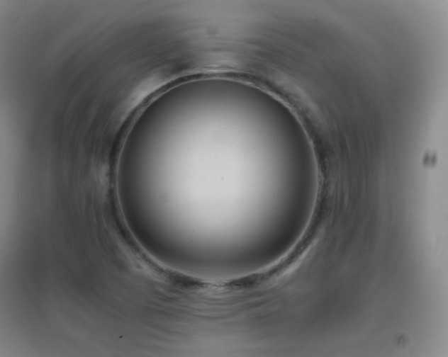 X0000096731457200802051428