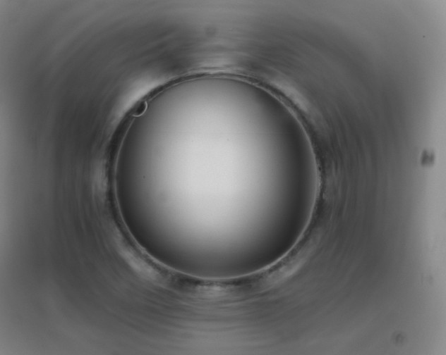 X0000096731458200802051428
