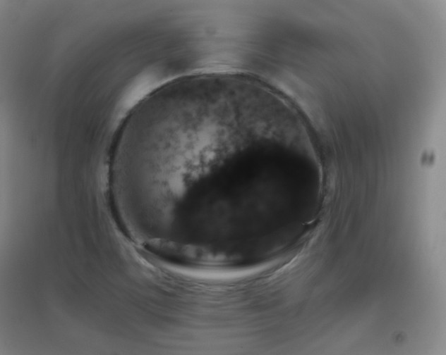 X0000096731459200802051428