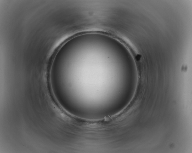 X0000096731460200802051428