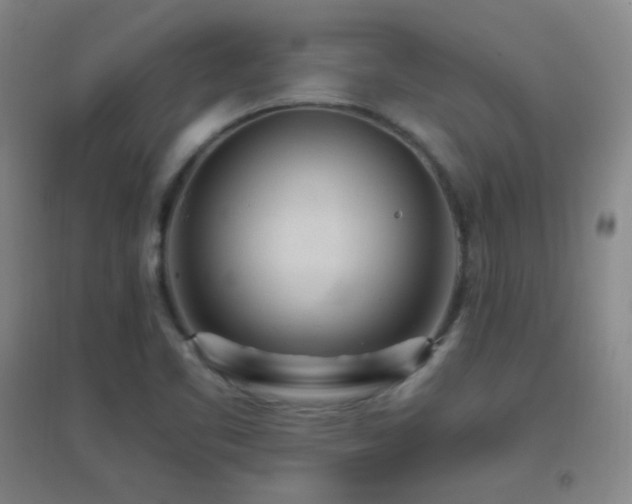 X0000096731461200802051428