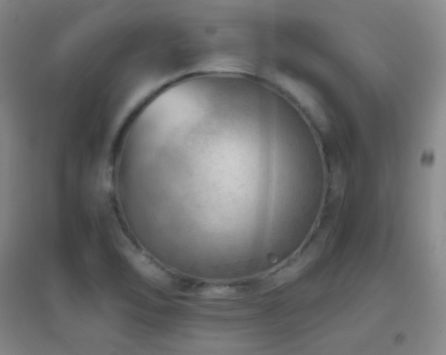 X0000096731462200802051428
