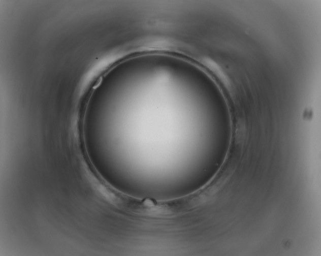 X0000096731464200802051428