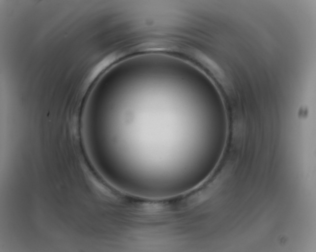 X0000096731465200802051428