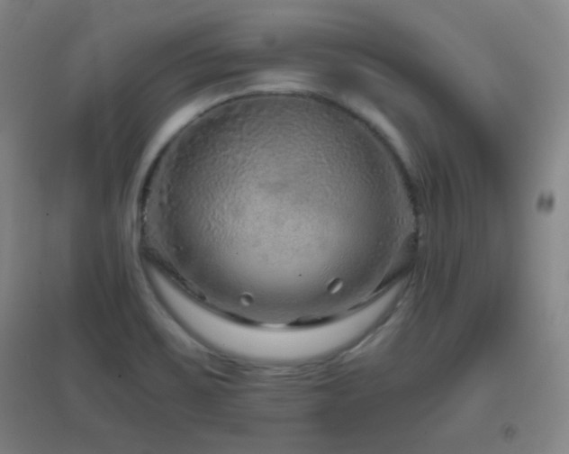 X0000096731467200802051428