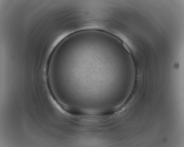 X0000096731468200802051428