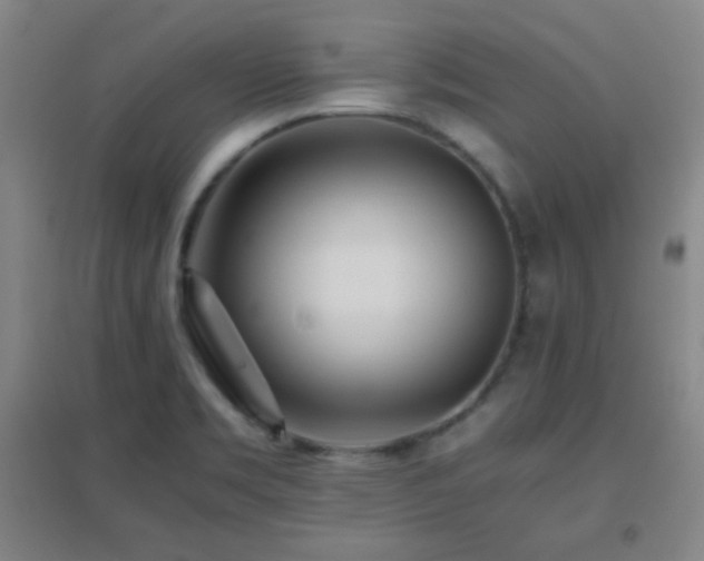 X0000096731469200802051428