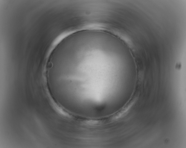 X0000096731470200802051428