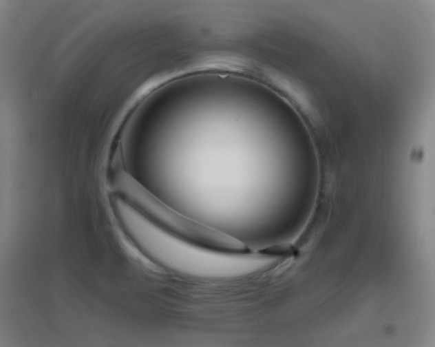 X0000096731471200802051428