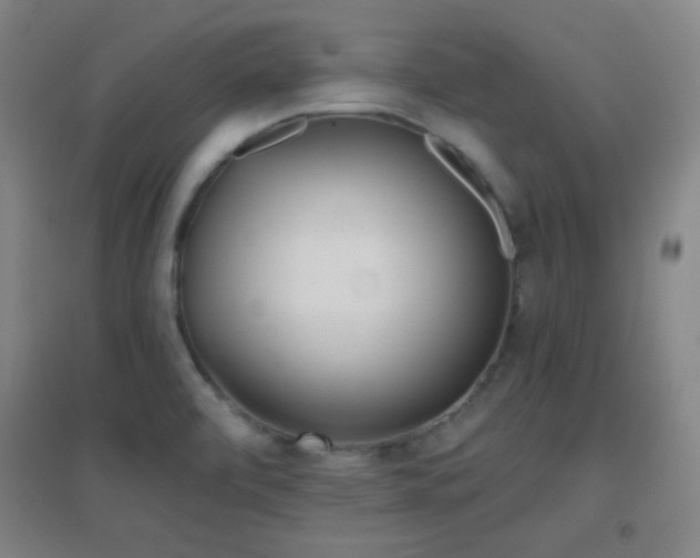 X0000096731472200802051428