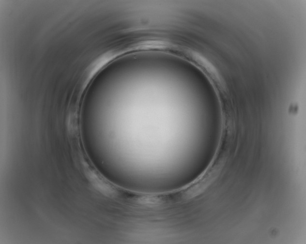 X0000096731473200802051428